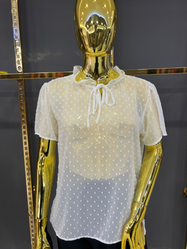 Chiffon style blouse